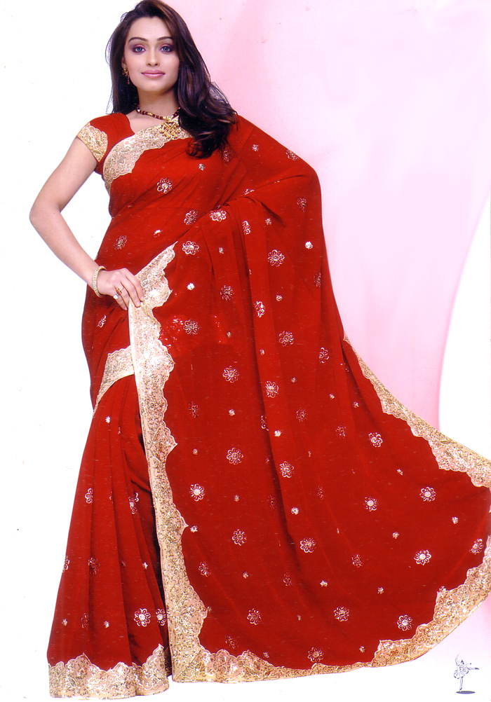 Red Bollywood Wedding Chiffon Saree Sari BellyDance Curtain ROBE KAFTAN Indian
