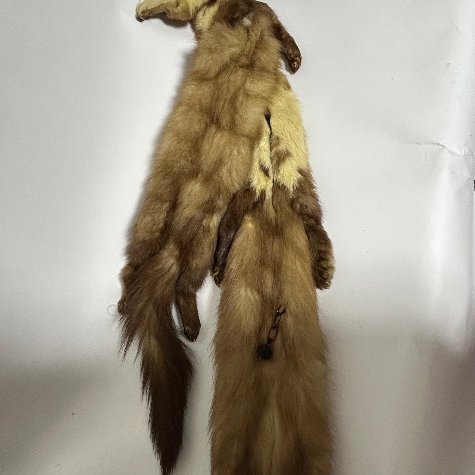 Greenblatt’s Crazy Brothers Pre-War Four Pelt Marten Fur Stole Heads Claws Tails