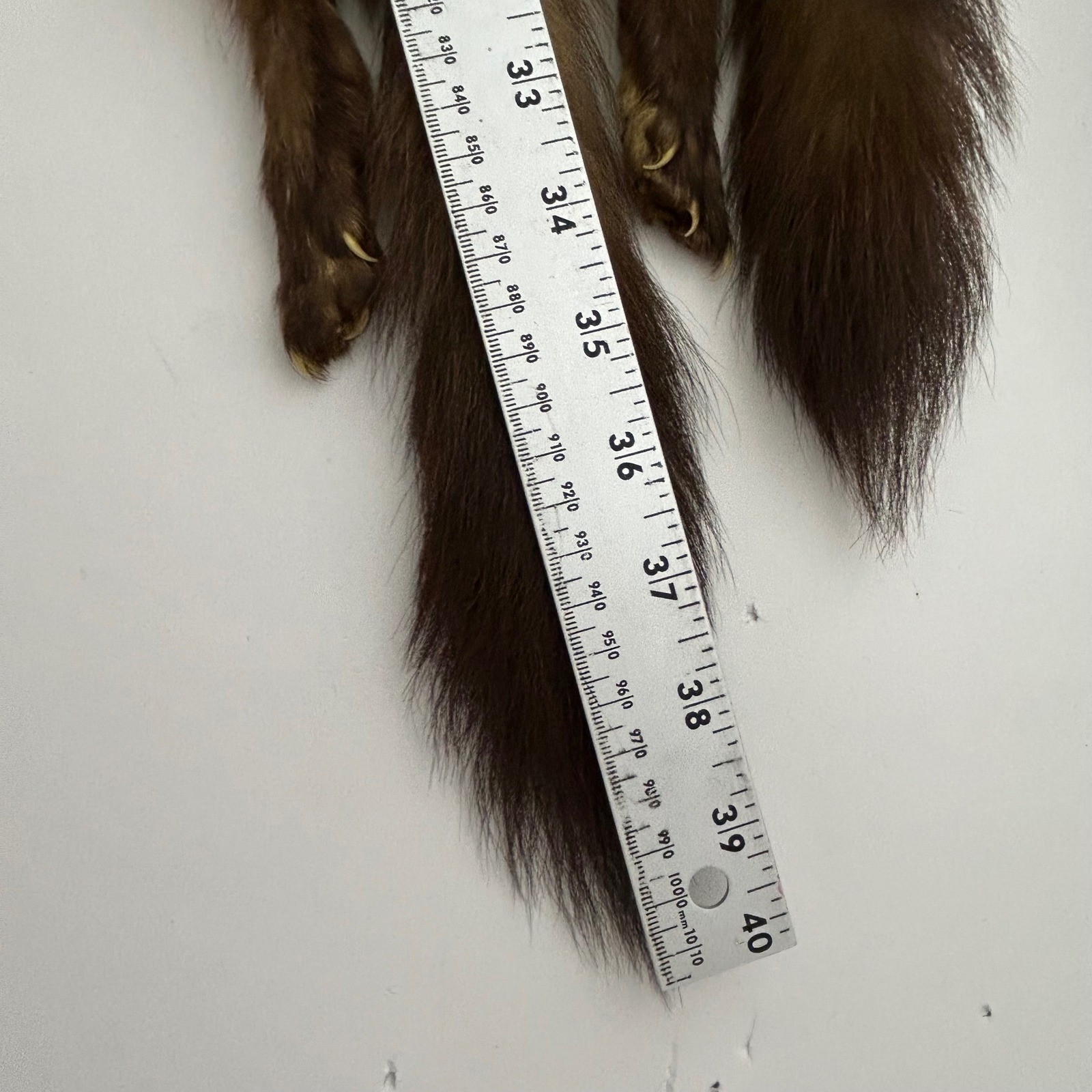 Greenblatt’s Crazy Brothers Pre-War Four Pelt Marten Fur Stole Heads Claws Tails