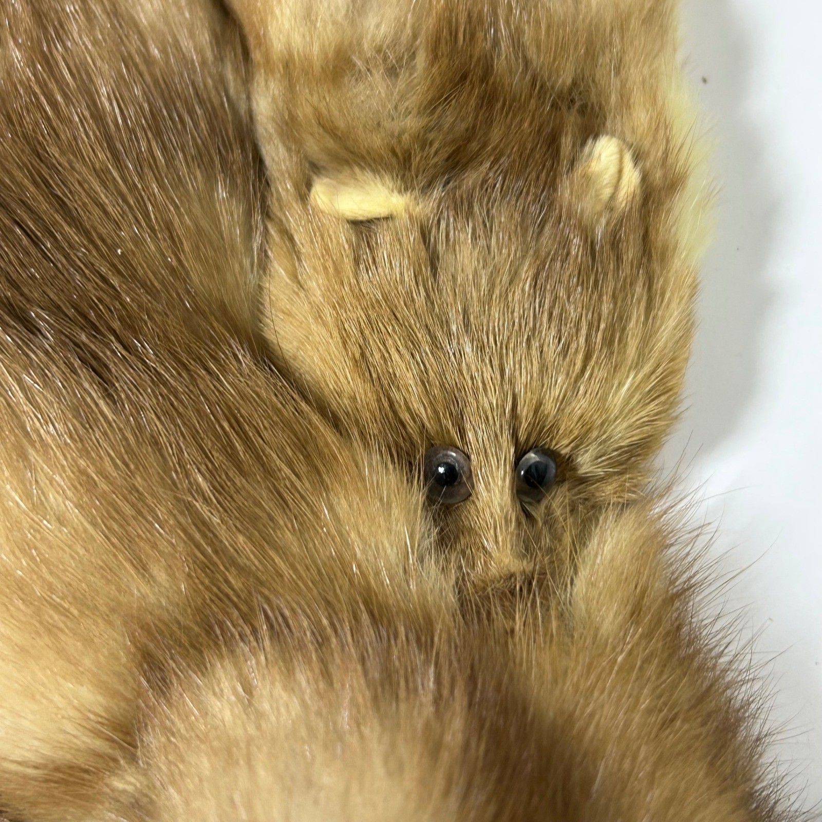 Greenblatt’s Crazy Brothers Pre-War Four Pelt Marten Fur Stole Heads Claws Tails
