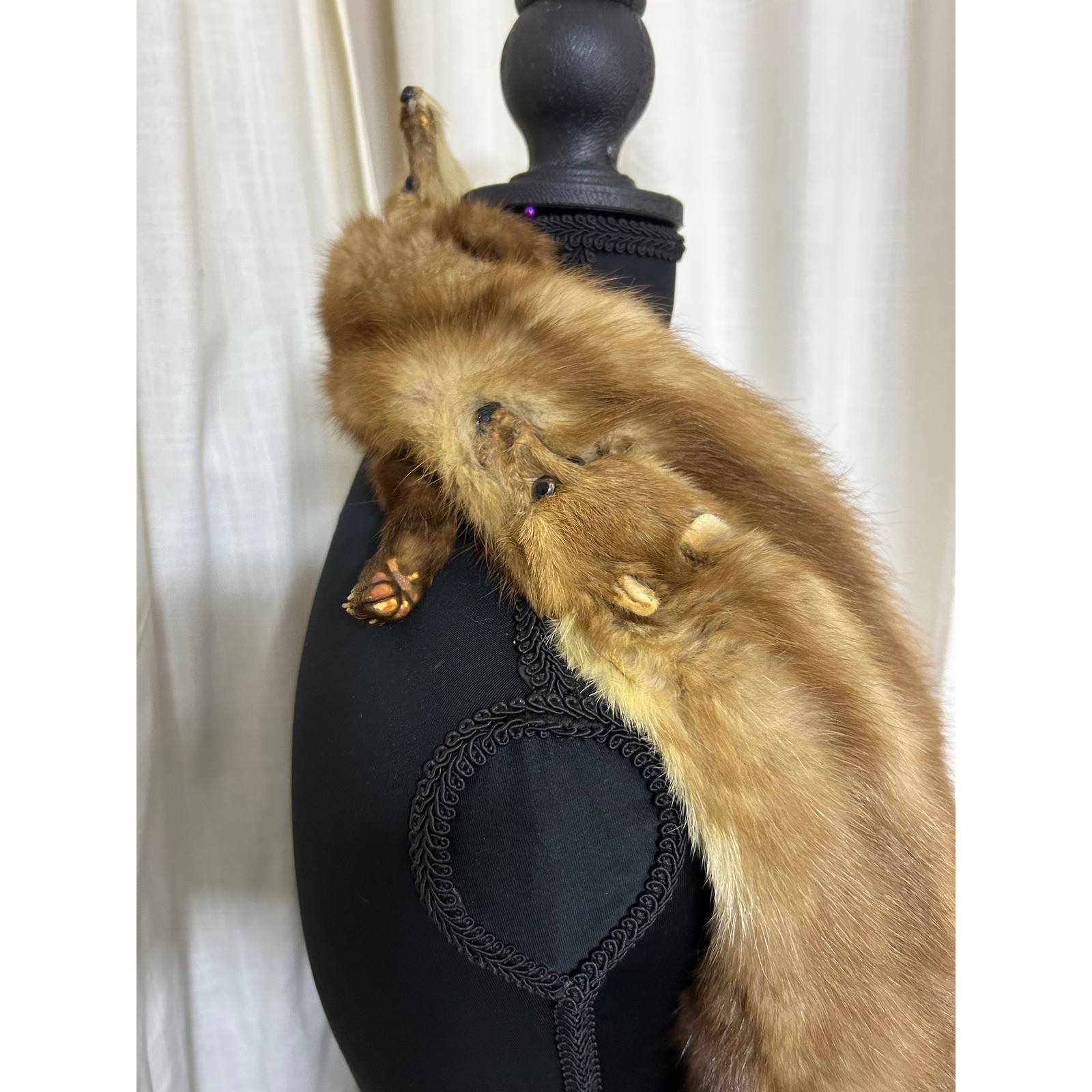 Greenblatt’s Crazy Brothers Pre-War Four Pelt Marten Fur Stole Heads Claws Tails