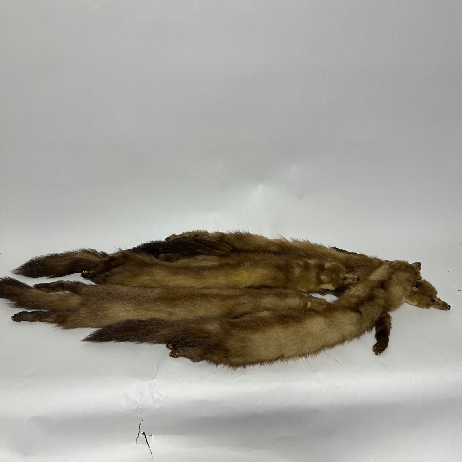 Greenblatt’s Crazy Brothers Pre-War Four Pelt Marten Fur Stole Heads Claws Tails
