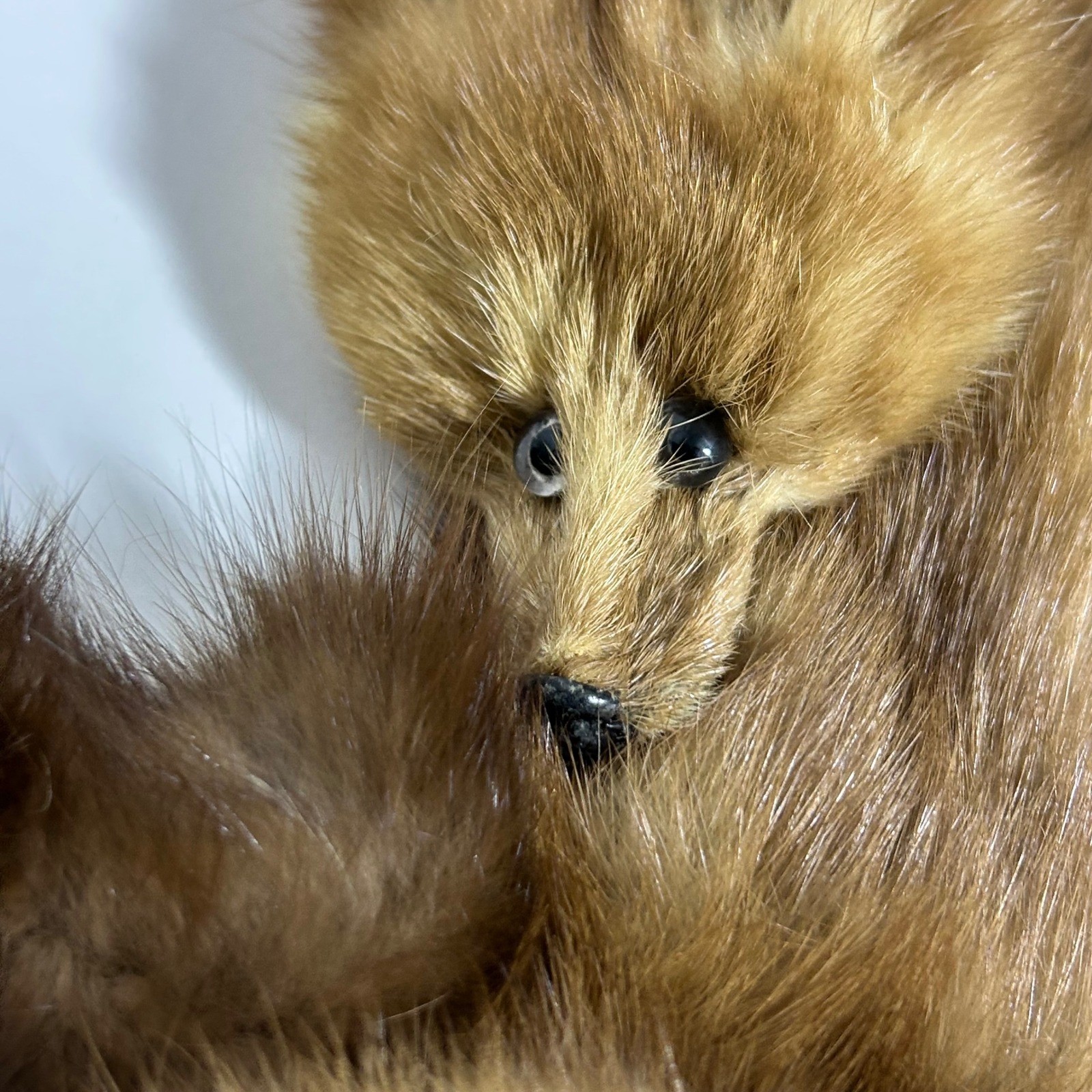 Greenblatt’s Crazy Brothers Pre-War Four Pelt Marten Fur Stole Heads Claws Tails