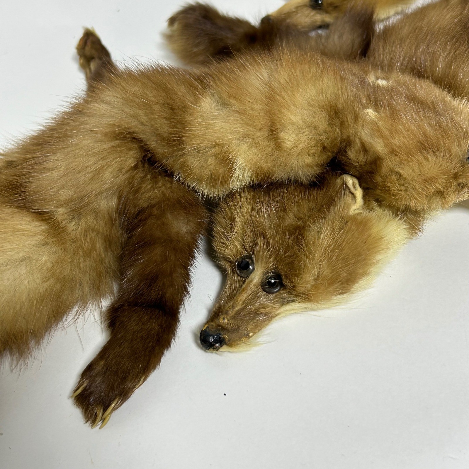 Greenblatt’s Crazy Brothers Pre-War Four Pelt Marten Fur Stole Heads Claws Tails