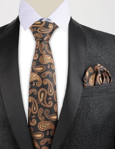 Mens Colorful Paisley Necktie and Pocket Square Sets 144-black+coffee